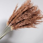 Τεχνητό κλαδί pampas καφέ 124 εκ