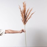 Τεχνητό κλαδί pampas καφέ 124 εκ
