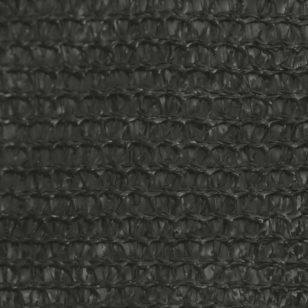 Πανί Σκίασης Ανθρακί 2,5 x 4 μ. από HDPE 160 γρ/μ²