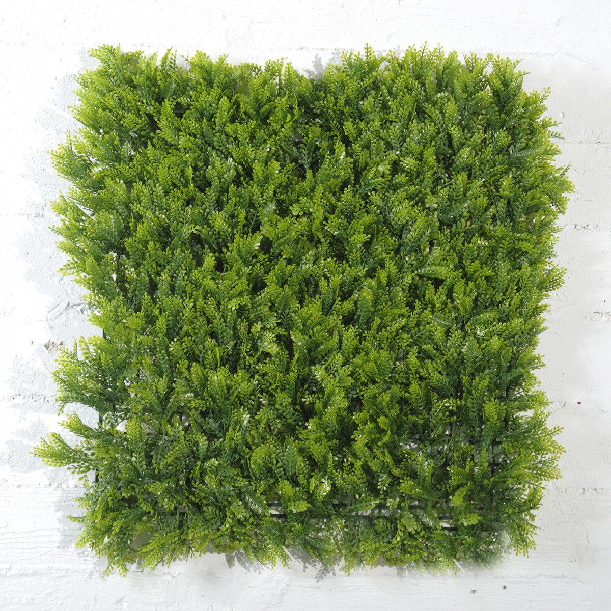Τεχνητή φυλλωσιά φτέρη Maidenhair 50x50 εκ Τεχνητή φυλλωσιά φτέρη Maidenhair 50x50 εκ
