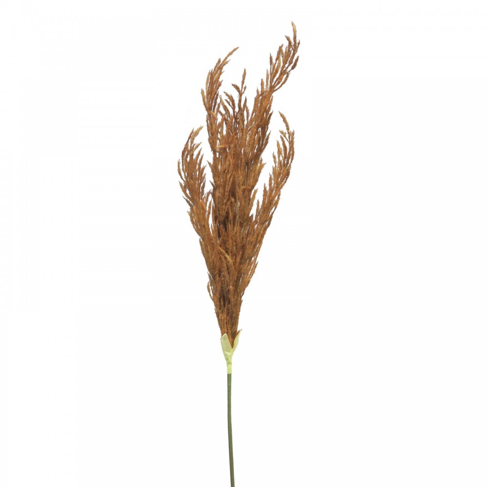 Τεχνητό κλαδί pampas καφέ 124 εκ