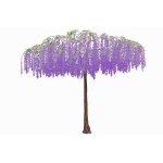 Blossom τεχνητό δέντρο γλυσίνια σε μωβ απόχρωση 290 εκ