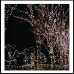 500 Led λαμπάκια IP44 με 8 προγράμματα πράσινο επεκτεινόμενο καλώδιο και soft white φως 25μ