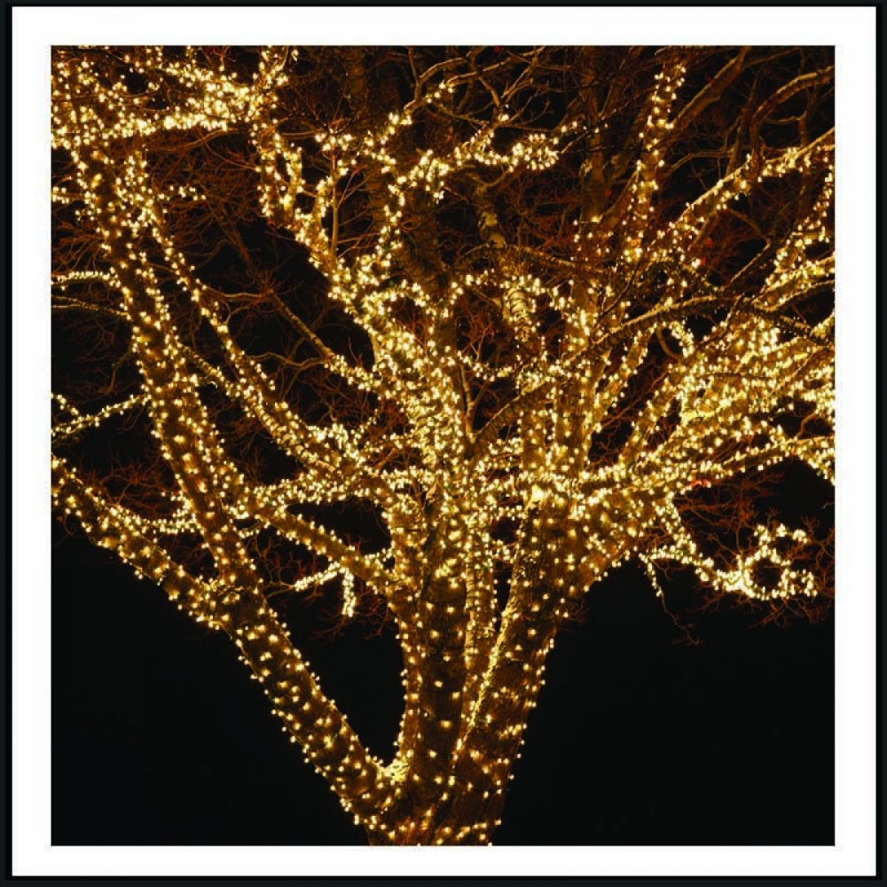 100 Led λαμπάκια IP44 με πράσινο επεκτεινόμενο καλώδιο και soft white φως 5μ