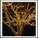 100 Led λαμπάκια IP44 με πράσινο επεκτεινόμενο καλώδιο και soft white φως 5μ