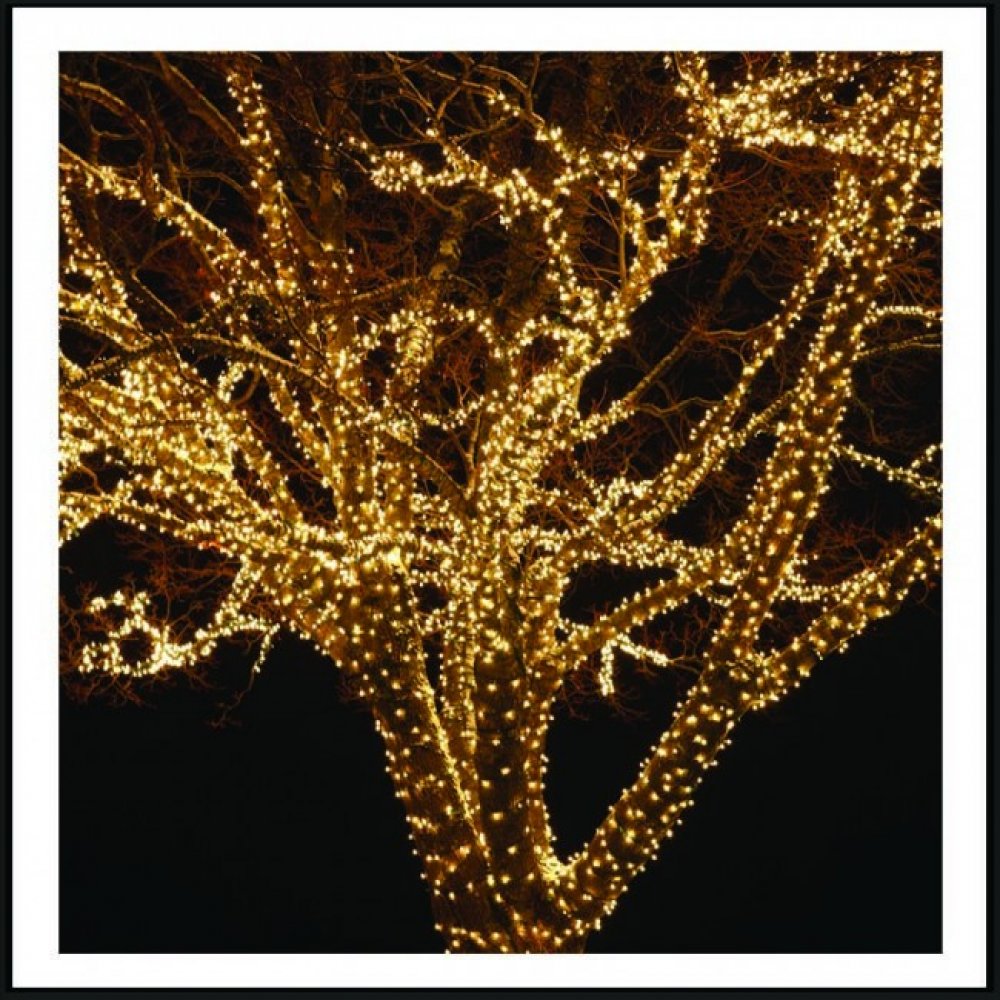 700 Led λαμπάκια IP44 επεκτεινόμενο πράσινο καλώδιο και θερμό λευκό φως 35μ